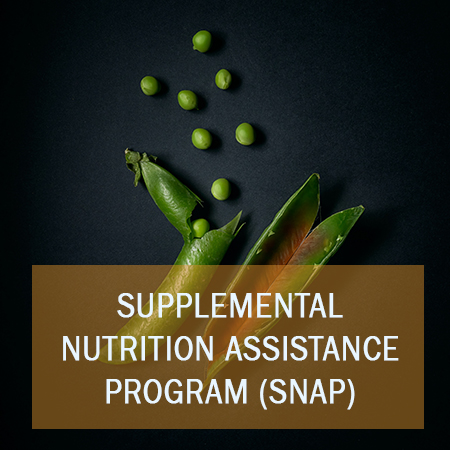 Select to open Supplemental Nutrition Assistance Program (SNAP)
