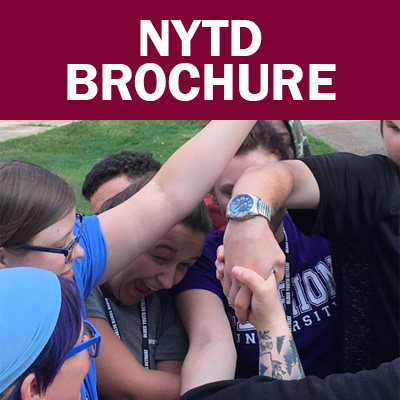 Select to open NYTD Brochure